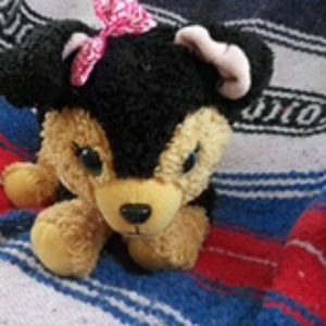 Girls puppy stuffed animal